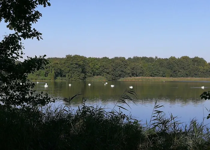 Doberschuetzer Hof 아파트