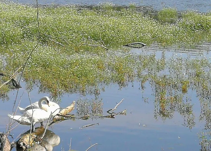 דירה Doberschuetzer Hof באוטזן