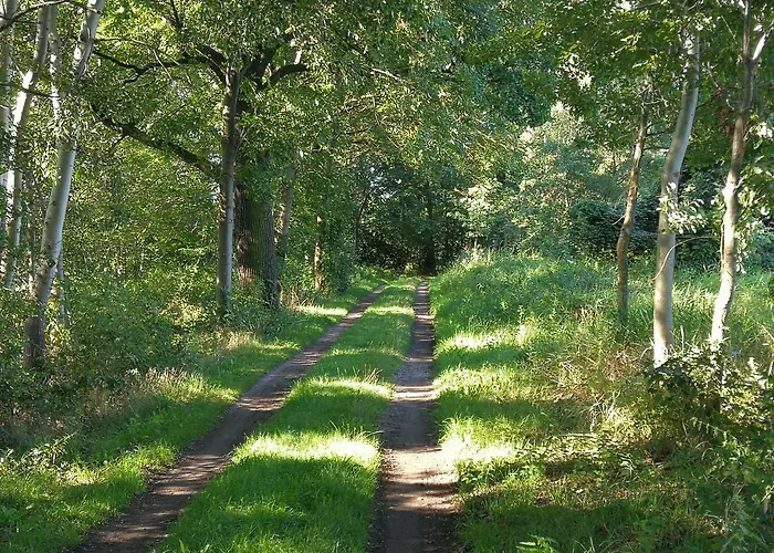 Doberschuetzer Hof 아파트 *