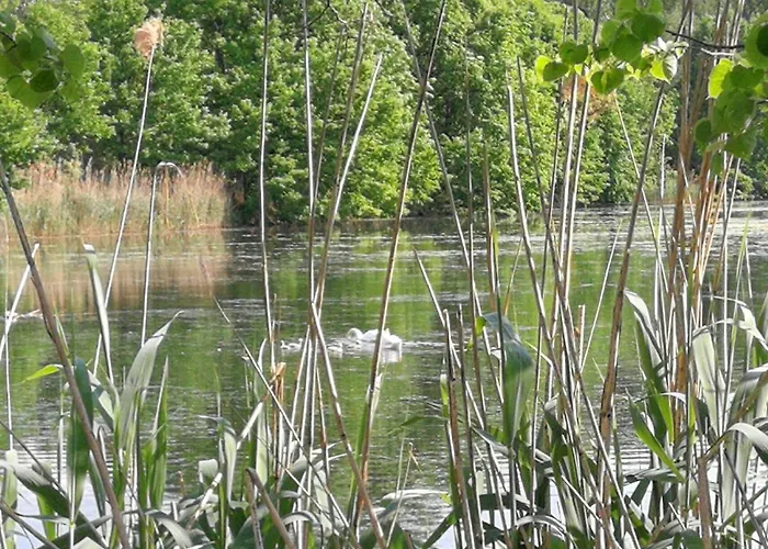 Doberschuetzer Hof 바우트젠